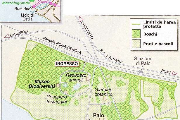 oasi di palo laziale
