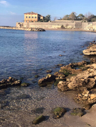 Angelo Manciocchi.01