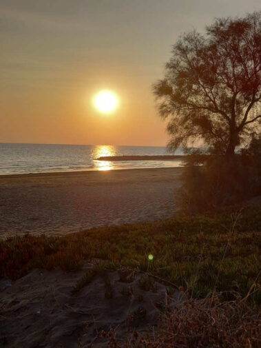 Luisa Riccardi Foto 017