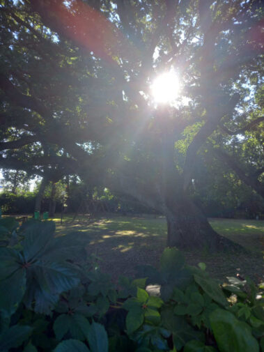 Luisa Riccardi Foto 018