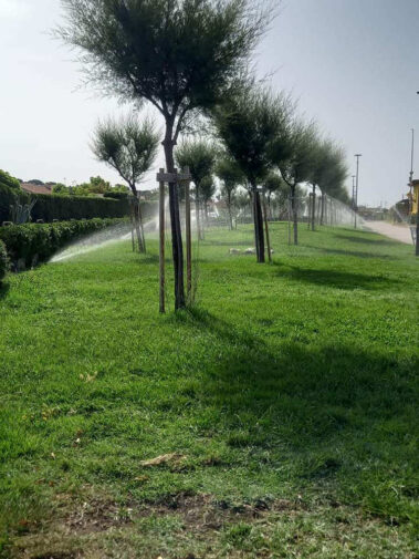 Luisa Riccardi Foto 020