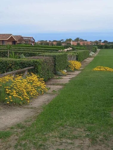 Luisa Riccardi Foto 021