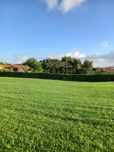 Luisa Riccardi Foto 11