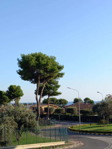 Luisa Riccardi Foto 13