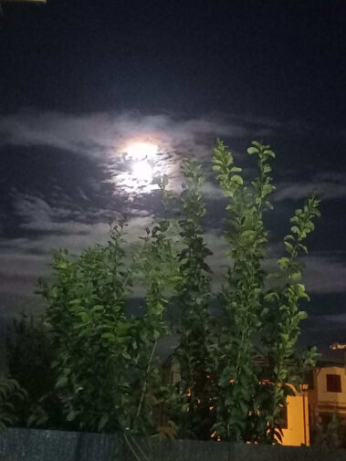 Luisa Riccardi Foto 3