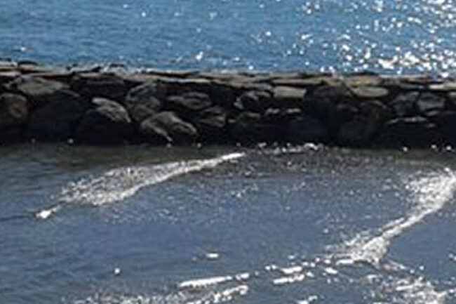 Spiaggia di Palo Laziale