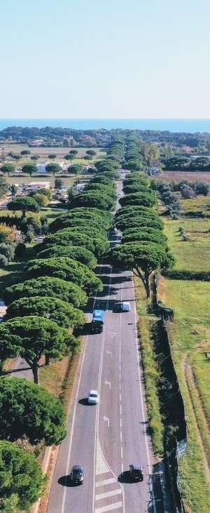 Via Aurelia Via Aurelia