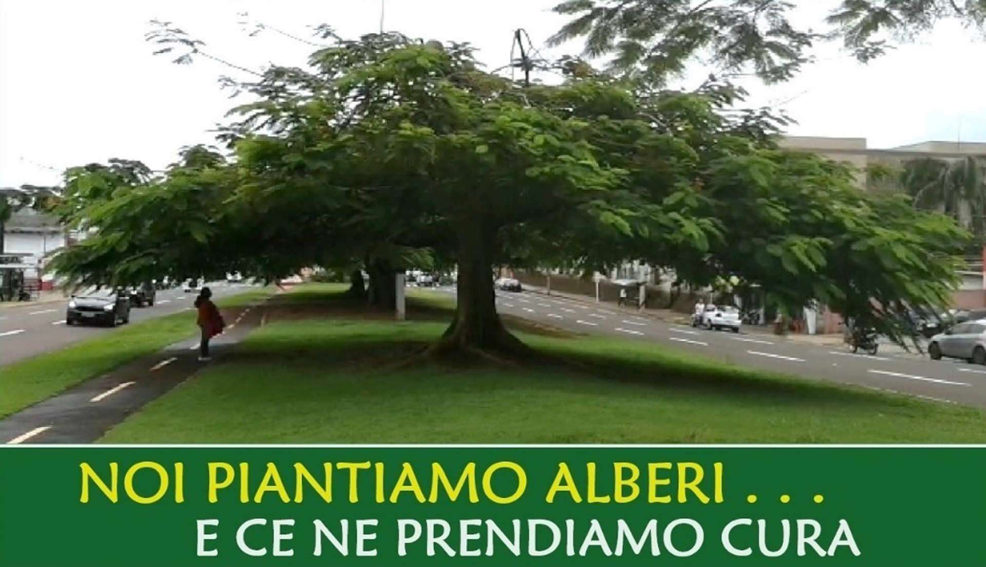 la marcia degli alberi
