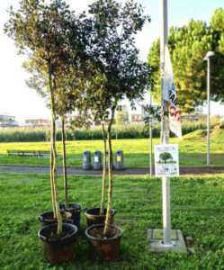 la marcia degli alberi